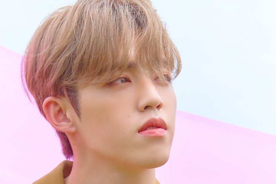 S.Coups de SEVENTEEN fera une pause d'activité en raison de votre santé