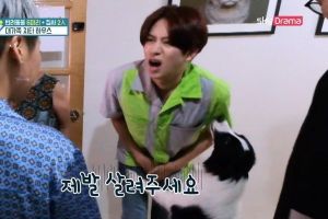 Heechul de Super Junior a eu une réaction amusante à la suite d'une rencontre malheureuse avec le chien de Guépard
