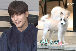 Sung Hoon fait un point chaud sur la santé de son chien adopté