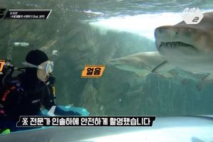 San de ATEEZ danse courageusement EXO, ITZY et plus en nageant parmi les requins en Australie