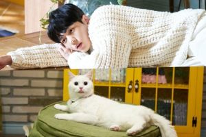 Kim Myung Soo et l'acteur Cat Baegi sont parfaits comme Hong Jo dans des photos de haute qualité de "Meow The Secret Boy"