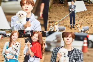 Les idoles et leurs animaux font équipe sur des photos du concours de chiens «Idol Star Athletics Championship» de MBC
