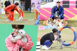 Les idoles et leurs chiens font face à une course d'obstacles dans les avant-premières des «Championnats Idol Star Dog-Agility 2020 - Chuseok Special»
