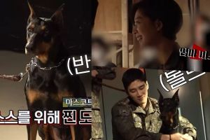 Ahn Bo Hyun et Jo Bo Ah ne peuvent s'empêcher de sourire au chien qui filme avec eux dans "Le procureur militaire Doberman"