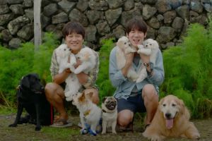 Yoo Yeon Seok et Cha Tae Hyun entreprennent involontairement un voyage d'adoption de chien dans d'adorables teasers pour le nouveau film "My Puppy"