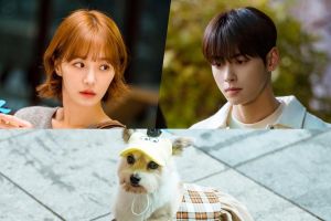 Park Gyu Young met en œuvre un plan secret pour sauver Cha Eun Woo du danger dans "A Good Day To Be A Dog"